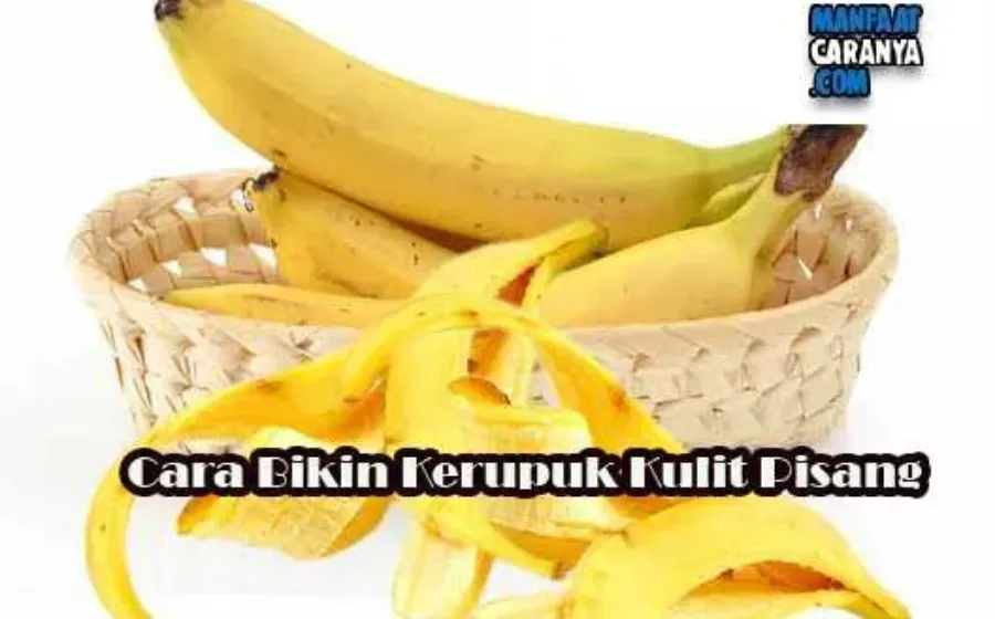 Cara Bikin Kerupuk Dari Kulit Pisang