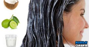 Cara Meluruskan Rambut Dengan Lemon dan Santan