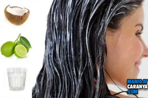Cara Meluruskan Rambut Dengan Lemon dan Santan