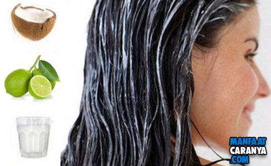 Cara Meluruskan Rambut Dengan Lemon dan Santan