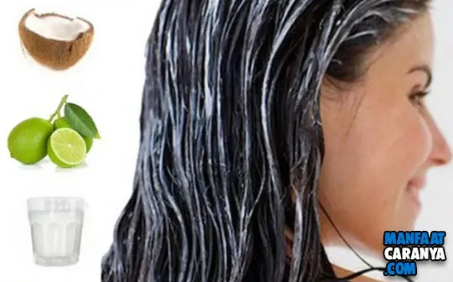 Cara Meluruskan Rambut Dengan Lemon dan Santan