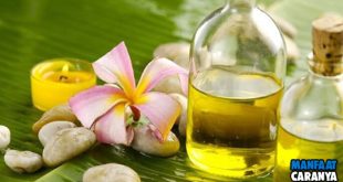Cara Meluruskan Rambut Dengan Minyak Jarak