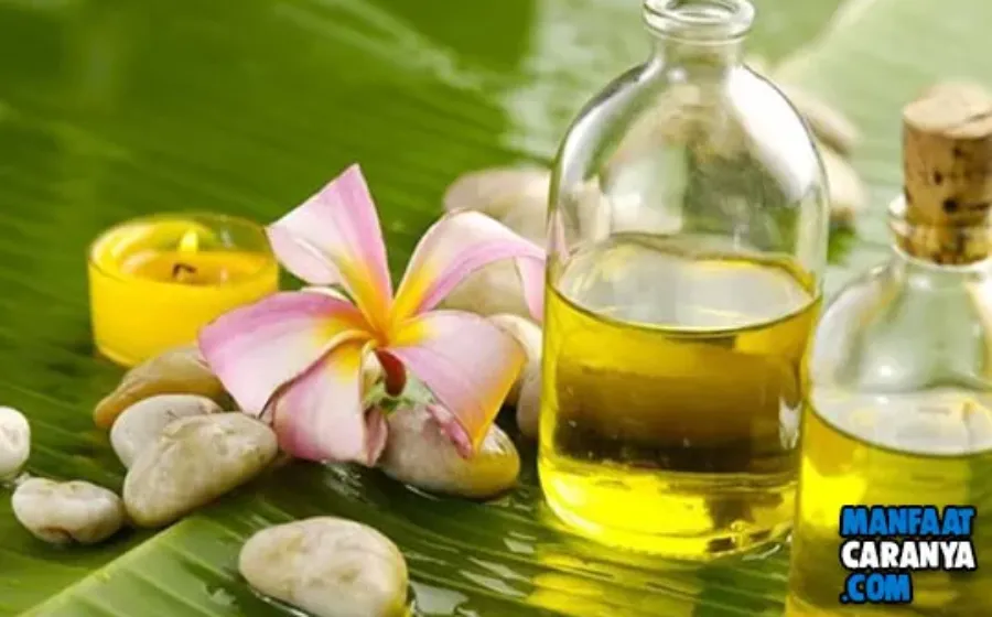 Cara Meluruskan Rambut Dengan Minyak Jarak