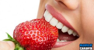 Cara Memerahkan Bibir Dengan Stroberi