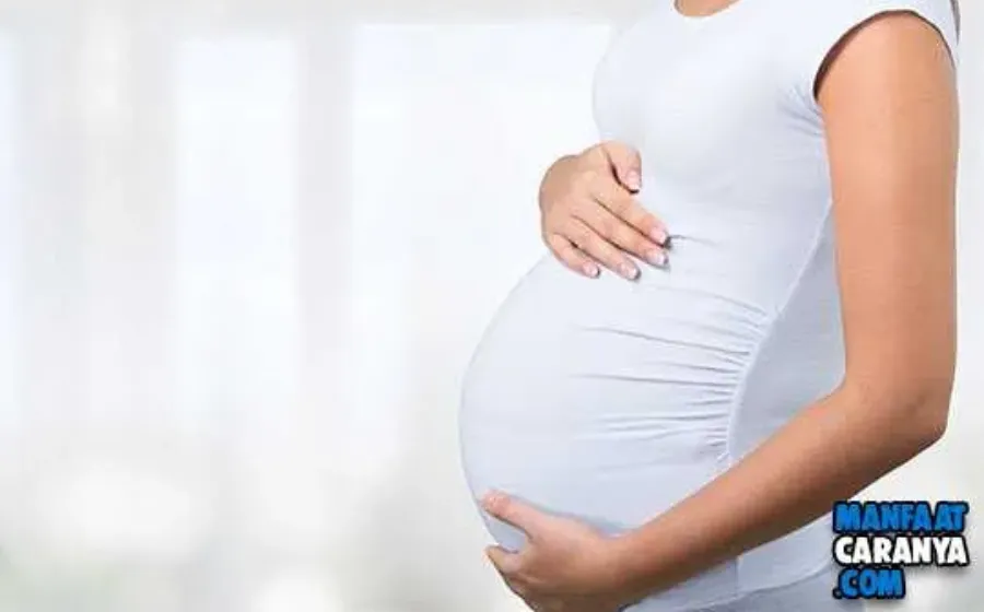 Cara Menurunkan Berat Badan Janin Dengan Aman