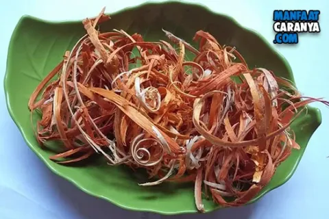 Khasiat Manfaat Kayu Secang Untuk Kesehatan Dan Kecantikan Cara Mengolah Kayu Secang
