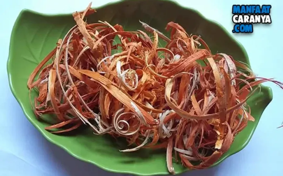 Khasiat Manfaat Kayu Secang Untuk Kesehatan Dan Kecantikan Cara Mengolah Kayu Secang