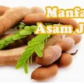 Manfaat Asam Jawa Untuk Kesehatan Tubuh Setiap Hari
