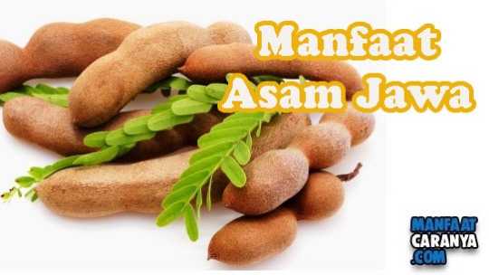 Manfaat Asam Jawa Untuk Kesehatan Tubuh Setiap Hari