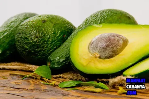 Manfaat Buah Alpukat Untuk Kecantikan dan Kesehatan