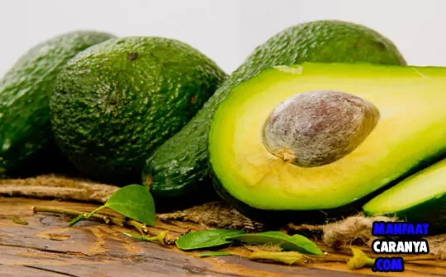 Manfaat Buah Alpukat Untuk Kecantikan dan Kesehatan