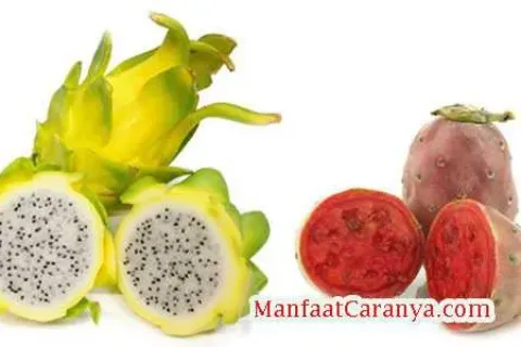 Manfaat Buah Naga Untuk Kesehatan Tubuh