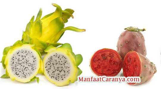 Manfaat Buah Naga Untuk Kesehatan Tubuh