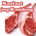 Manfaat Daging Kambing Untuk Kesehatan Tubuh