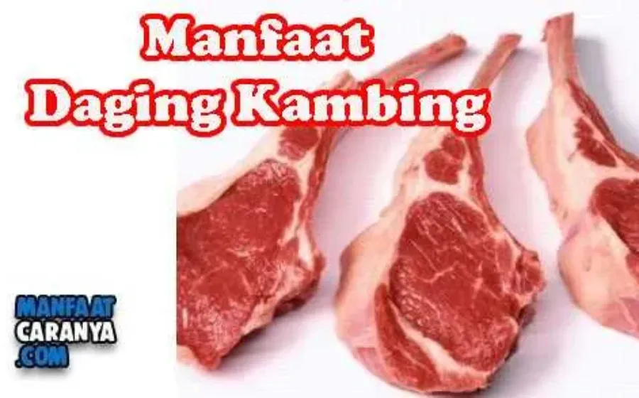 Manfaat Daging Kambing Untuk Kesehatan Tubuh