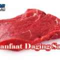 Manfaat Daging Sapi Bagi Kesehatan Tubuh