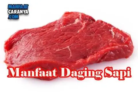 Manfaat Daging Sapi Bagi Kesehatan Tubuh