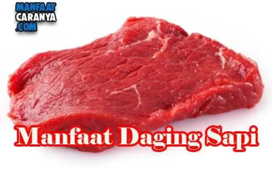 Manfaat Daging Sapi Bagi Kesehatan Tubuh