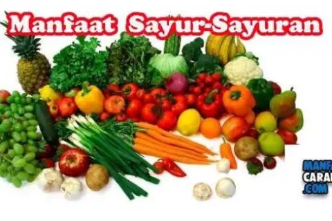Manfaat Dan Kandungan Gizi Sayur Sayuran Bagi Kesehatan