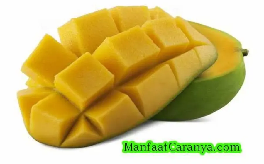 Manfaat Dan Kegunaan Buah Mangga Untuk Kesehatan Tubuh