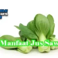 Manfaat Dan Khasiat Jus Sawi
