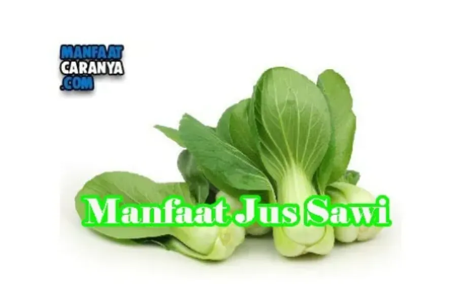 Manfaat Dan Khasiat Jus Sawi