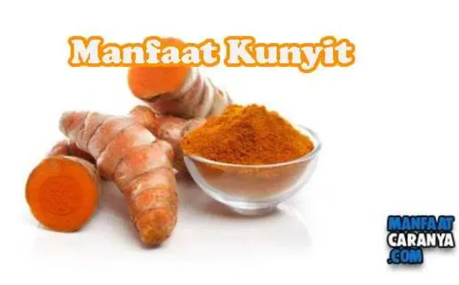 Manfaat Kunyit Untuk Keshatan Dan Kecantikan Tubuh