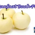 Manfaat Mengkonsumsi Buah Pir Setiap Hari