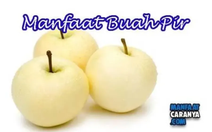Manfaat Mengkonsumsi Buah Pir Setiap Hari