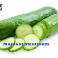 Manfaat Mentimun Bagi Kesehatan Tubuh