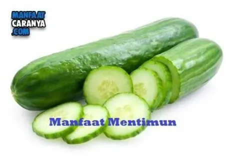Manfaat Mentimun Bagi Kesehatan Tubuh