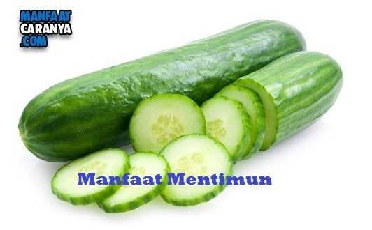 Manfaat Mentimun Bagi Kesehatan Tubuh