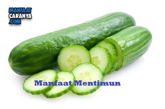Manfaat Fiforlif Bagi Tubuh