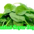 Manfaat Sayur Bayam Untuk Kesehatan Tubuh