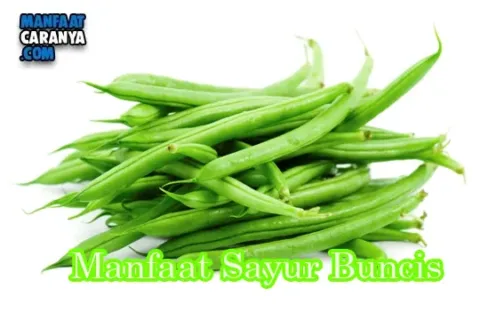 Manfaat Sayur Buncis Untuk Kesehatan tubuh