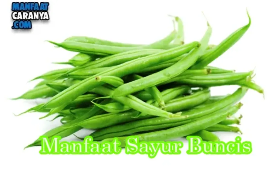 Manfaat Sayur Buncis Untuk Kesehatan tubuh