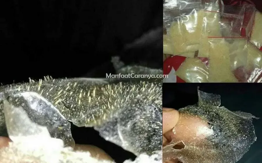 Cara Memakai Masker Komedo Bubuk, Mudah dan Cepat