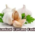 Khasiat Bawang Putih Untuk Kesehatan Tubuh