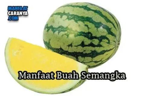 Khasiat Dan Manfaat Buah Semangka