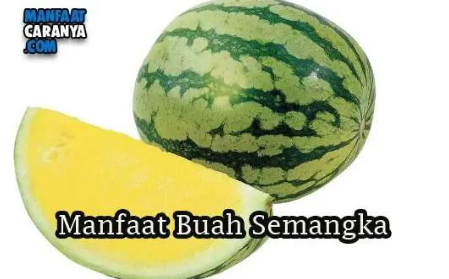Khasiat Dan Manfaat Buah Semangka