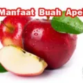 Manfaat Buah Apel Untuk Kesehatan Tubuh