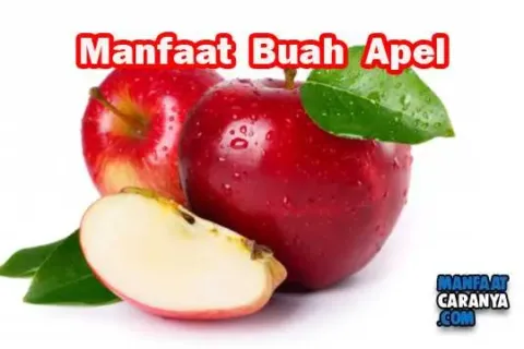 Manfaat Buah Apel Untuk Kesehatan Tubuh