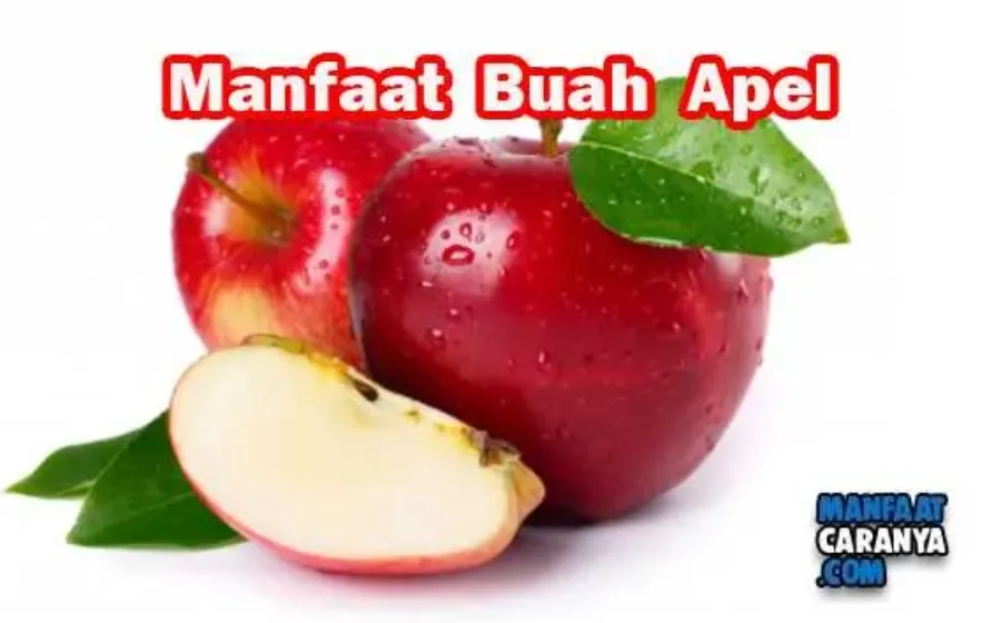 Manfaat Buah Apel Untuk Kesehatan Tubuh