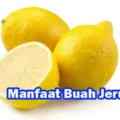 Manfaat Buah Jeruk Untuk Kesehatan Dan Kecantikan