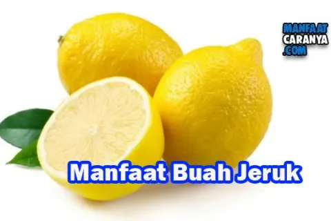 Manfaat Buah Jeruk Untuk Kesehatan Dan Kecantikan