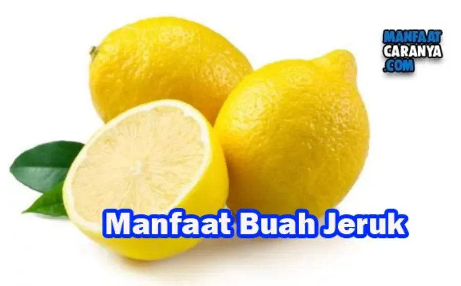 Manfaat Buah Jeruk Untuk Kesehatan Dan Kecantikan