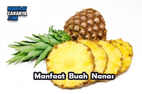 Manfaat Buah Nanas