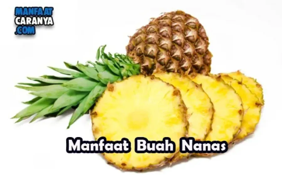 Manfaat Buah Nanas
