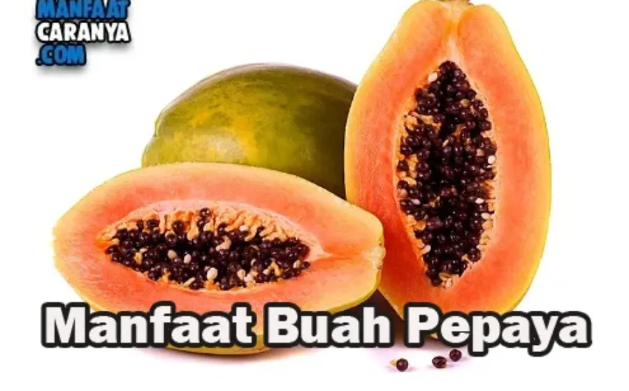 Manfaat Buah Pepaya Bagi Kesehatan Tubuh Setiap Hari
