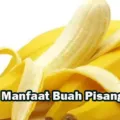 Manfaat Buah Pisang Bagi Kesehatan Dan Menggairahkan Sex